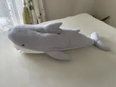 Item thumbnail for item 1295bbd0-9988-40f2-873f-e626b5cedae0