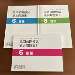 馬渕公開模試 小6 第1回 第2回 国語 算数 理科 2021 20202過去問のサムネイル