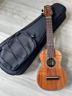 Item thumbnail for item fea86916-370e-4cd0-8a55-0023c8745aba