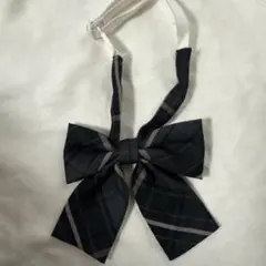 Item thumbnail for item b5a60c6a-5e99-4d83-aa9b-d8afd13bf2e5