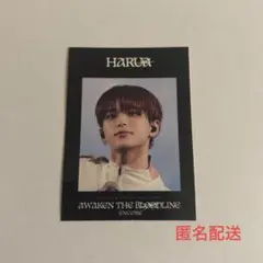 &TEAM アンコン ハルア アプグレ特典 ステッカー