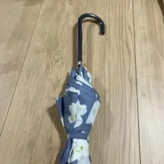 Item thumbnail for item bc29f69a-6a29-41e1-a4fa-0a17bd838cc4