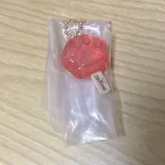 ズートピア アイスキャンディーチャームガチャ