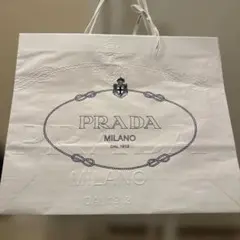 PRADA プラダ ショッパー横長特大2枚セット プラス中＆小2枚セット合計4枚
