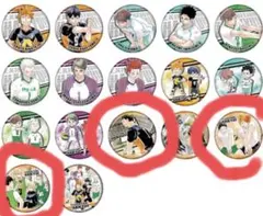 ハイキュー
原画展
缶バッジ
7弾
日向
影山
月島
山口
谷地仁花
新3年生