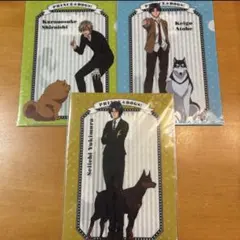 テニプリ ファイル 希少 セット 犬 - メルカリ