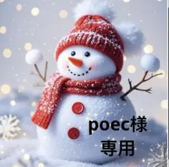 poec様 リクエスト 2点 まとめ商品