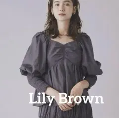 Lily Brown リリーブラウン　シアーボリュームスリーブトップス　グレー