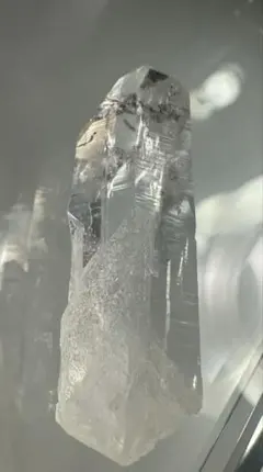 2026年最新】レムリアンシードの人気アイテム - メルカリ