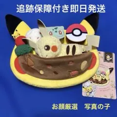 ポケモンカフェ カフェプレート風ぬいぐるみ ピカチュウ タグ付き　新品　ポケモン