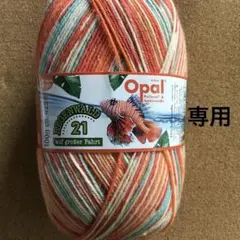 クーちゃん様専用　Opal毛糸 レーゲンヴァルト　21 11603 11606