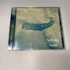 Age Factory teenage