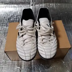 最終値下げ Mizuno MONARCIDA トレシュー 24.5cm
