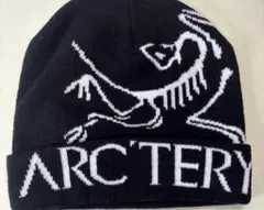 ビーニー　ニット帽　帽子　スケーター y2k グランジ