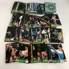 プロレス カード 200枚 トレーディングカード トレカ 写真 グッズ 