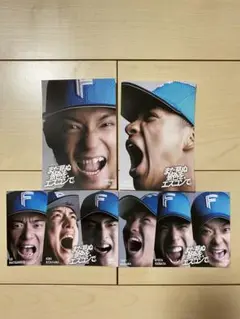 日本ハムファイターズステッカー
