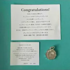 2026年最新】ティファニー マラソン 2015の人気アイテム - メルカリ