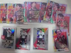 日本代表 バレーボール トレーディングカードセット