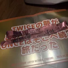 TWICE 國立競技場 4月26日 銀色彩帶粉紅色