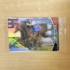 サラブレッドホースコレクション ウエハース ブレイディヴェーグ