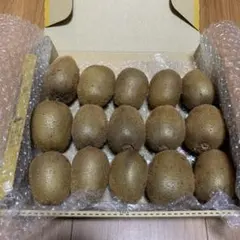 キウイフルーツ　15個入り