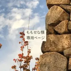 ももせな様　専用ページ