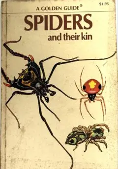 ★SPIDERS and their kin★