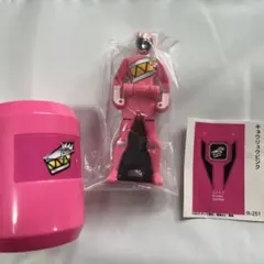 た*ん様 レンジャーキーセット　獣電戦隊キョウリュウジャー 海賊戦隊ゴーカイジャー レンジャーキーセット 獣電戦隊キョウ