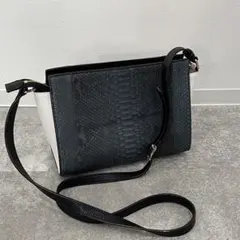 未使用級 nordfiume パイソン 2WAY ミニ 黒 ショルダーバッグ - メルカリ