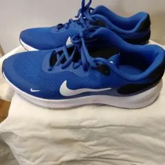 Nike ランニングシューズ 青