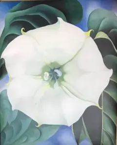 2026年最新】オキーフ画集 花の人気アイテム - メルカリ