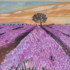 油絵(ラベンダー畑) 油絵(ラベンダー畑) 油絵 油彩 油彩画 絵 絵画【青空の