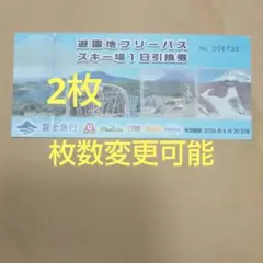 富士急ハイランドフリーパス2枚mnbのサムネイル