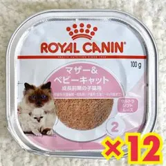 Item thumbnail for item 59262ff8-8636-4f4a-93db-12e97c48f3ea