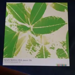 LIFE-SIZE KAMAMASA ODA 2025 DVD - メルカリ