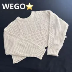 WEGO⭐️アイボリー ケーブルニット クロップドセーター