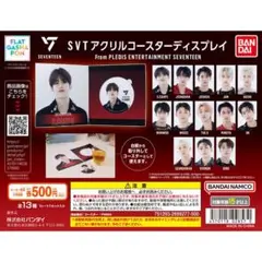 SEVENTEEN ガチャ アクリルコースター 全13種 15枚セット