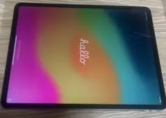 iPad Pro 12.9インチ 第5世代 [スペースグレイ]