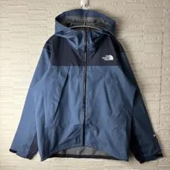 THE NORTH FACE GORE-TEX レインジャケット
