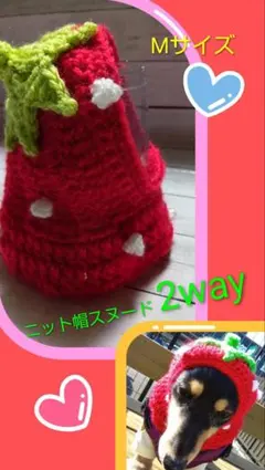 犬用かぶりもの苺のニット帽スヌードにもなる