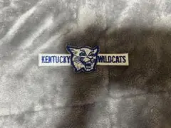 Item thumbnail for item a86f94d9-34d4-4a41-b855-ad8f76b7be2c