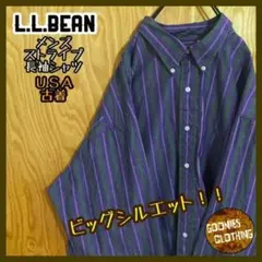 エルエルビーン メンズ ストライプ USA古着 70s 80s 長袖 シャツ 青