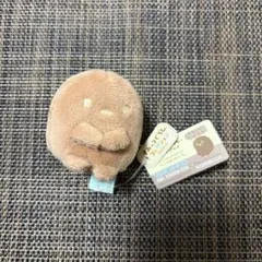 すみっコぐらし　学園長　2021年　受注　たぴおか　てのりぬいぐるみ すみっコぐらし 学園長 2021年 受注 たぴおか てのりぬいぐるみ - メルカリ