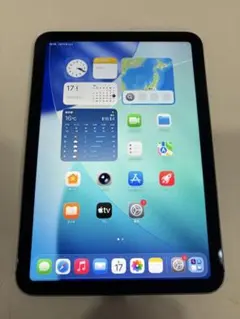 iPad mini 6 Wi-Fi+Cellular 256GB