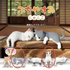 ふちやすみ にゃんこ みけねこ はちわれねこのサムネイル