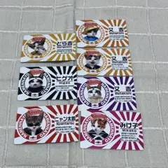 なめ猫　カード　まとめ売り