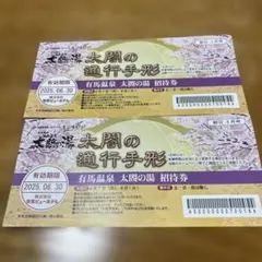 有馬温泉 太閤の湯 招待券 2枚