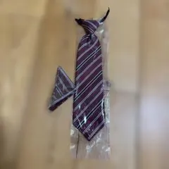 ストライプ ネクタイ セット