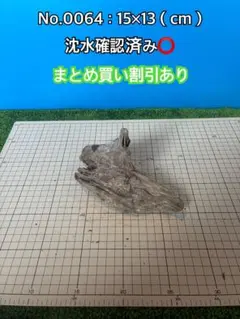 銀*時様 アク抜き済み流木　No.10 超レア型　沈水確認済 煮沸・沈水確認済み】 aa22 天然流木 アクアリウム、爬虫類用 - メルカリ