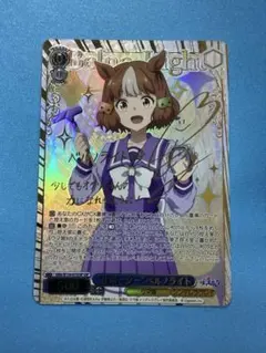 Item thumbnail for item 097b1177-cd1a-4bb8-885e-4848209d7a09